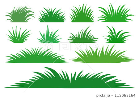 Set of vector green grass. 115065164