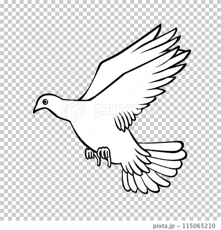 鳩線画2 115065210
