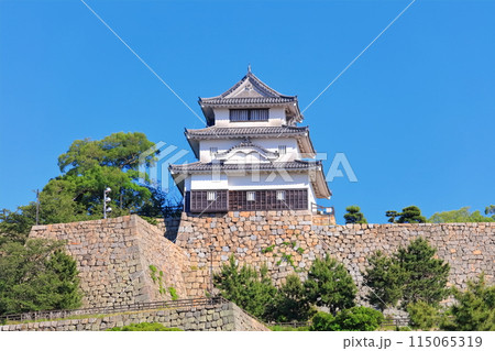 【香川県】北側内堀から見た五月晴れの丸亀城（現存天守と石垣の名城） 115065319
