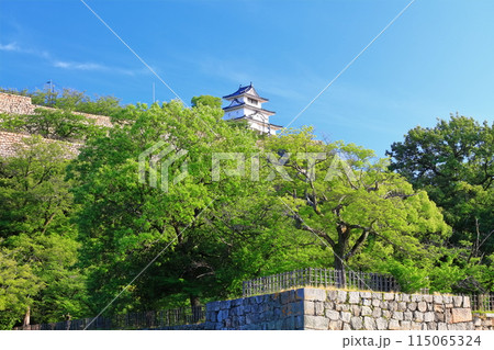 【香川県】北側内堀から見た五月晴れの丸亀城(現存天守と石垣の名城) 【香川県】北側内堀から見た五月晴れの丸亀城(現存天守と石垣の名城) 115065324