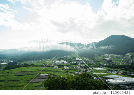 朝霧が立ち込める緑豊かな田園風景と村 115065422