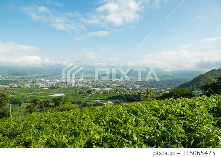 緑豊かな田園風景と村 115065425