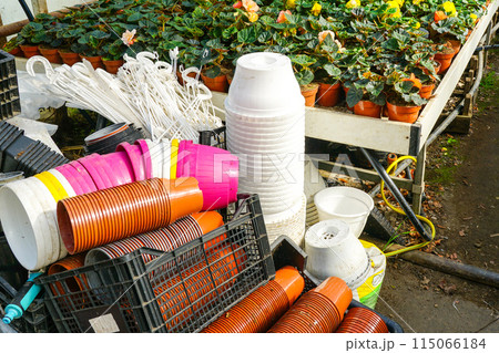 Plastic flower pots pile of different sizes and colors in the greenhouse, flower nursery farm inside 115066184