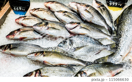 Fresh dorado fish on the counter. Raw fish for sale Fresh dorado fish on the counter. Raw fish for sale 115066630