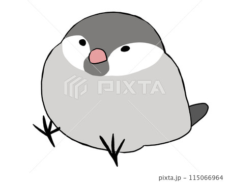 文鳥 ノーマル 115066964