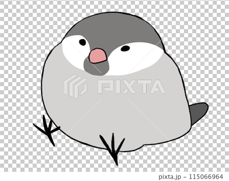 文鳥 ノーマル 115066964