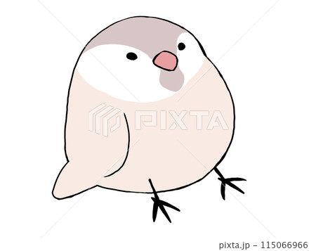 文鳥 シナモン 115066966