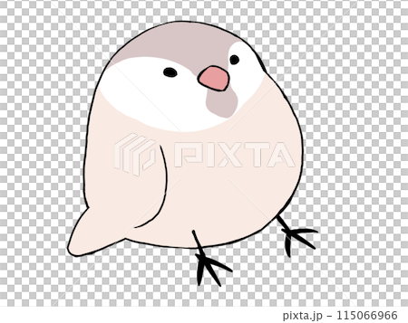 文鳥 シナモン 115066966