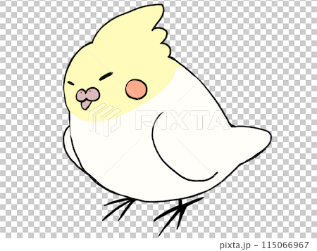 玄鳳鸚鵡 玄鳳鸚鵡 115066967