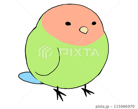 コザクラインコ ノーマル 115066970