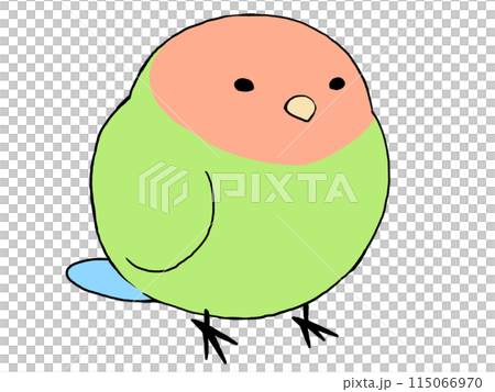 コザクラインコ ノーマル 115066970