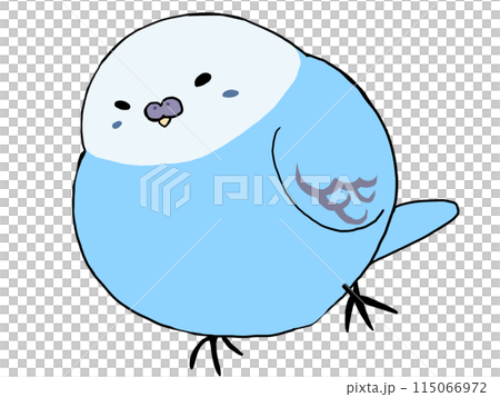 Budgerigar Blue Budgerigar Blue 115066972