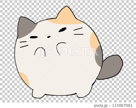 三毛猫 115067081