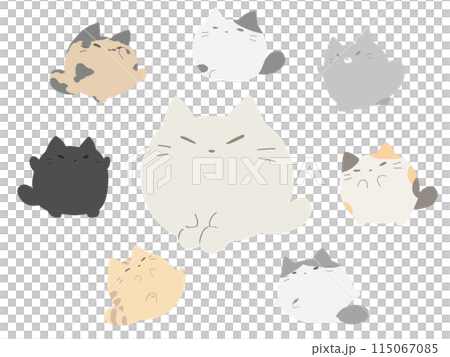 Cat gathering 115067085