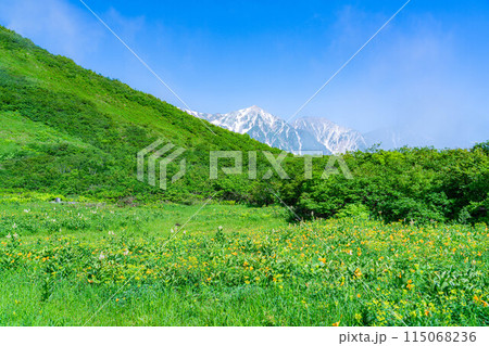 【山岳素材】夏の唐松岳登山風景【長野県】 【山岳素材】夏の唐松岳登山風景【長野県】 115068236