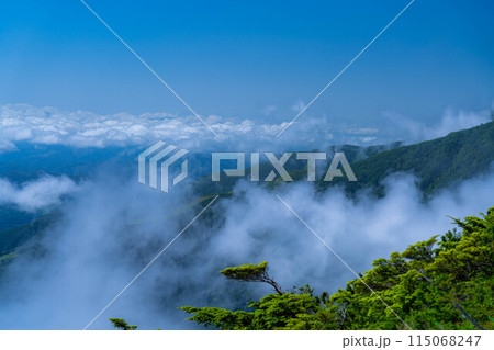 【山岳素材】夏の唐松岳登山風景【長野県】 【山岳素材】夏の唐松岳登山風景【長野県】 115068247