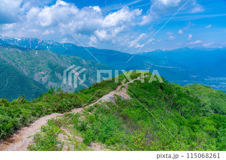 【登山素材】小遠見山の尾根道【長野県】 115068261