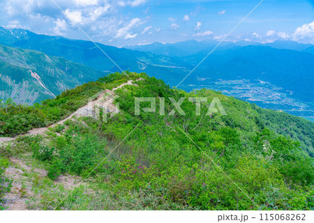 【登山素材】小遠見山の尾根道【長野県】 115068262
