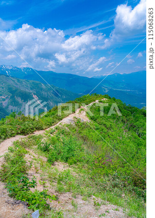 【登山素材】小遠見山の尾根道【長野県】 115068263