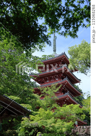 五重の塔 飾る初夏の緑 (高知県 五台山竹林寺) 五重の塔 飾る初夏の緑 (高知県 五台山竹林寺) 115068268