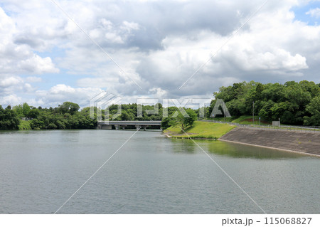 山倉ダム（市原市） 115068827