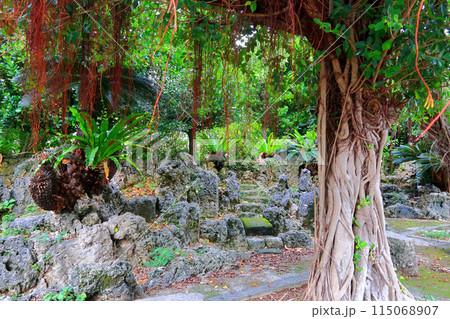 石垣島　琉球式枯山水 115068907