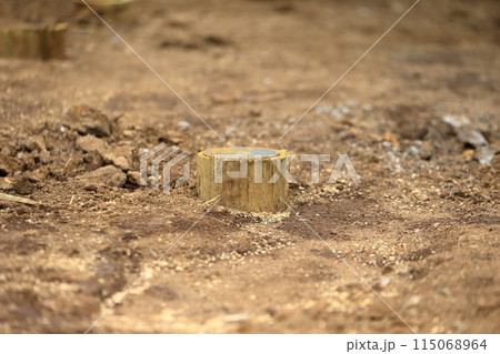 松杭（基礎杭） 115068964