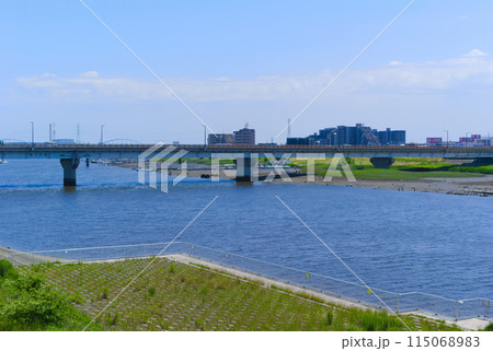 千葉県市川市江戸川の潮干狩りスポット2024年5月 115068983