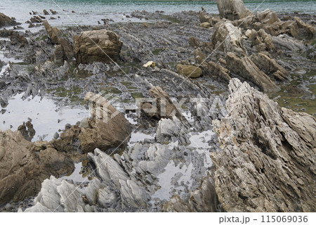 江田海岸 江田海岸 115069036