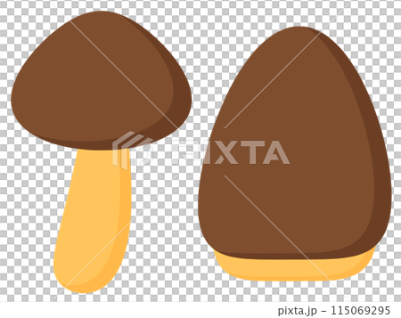 クッキーとチョコレートのお菓子 115069295