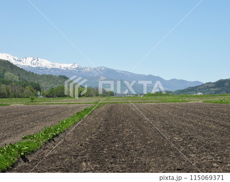 田起しされた田んぼと残雪の北アルプス 115069371