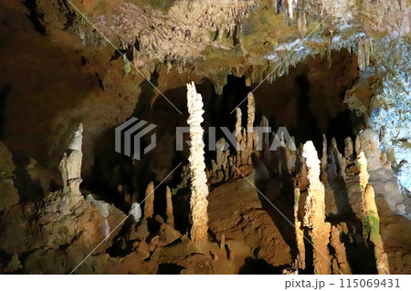 石垣島 サンゴ礁の鍾乳洞 石垣島 サンゴ礁の鍾乳洞 115069431