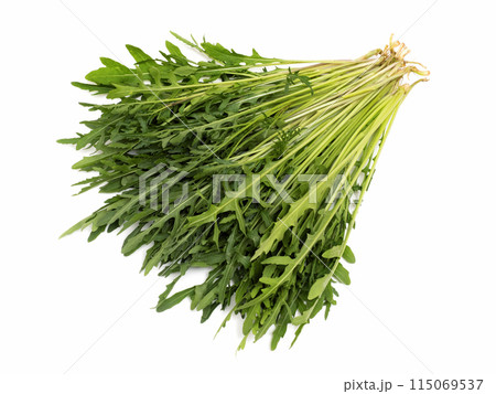 ハーブ　セルバチコ 115069537