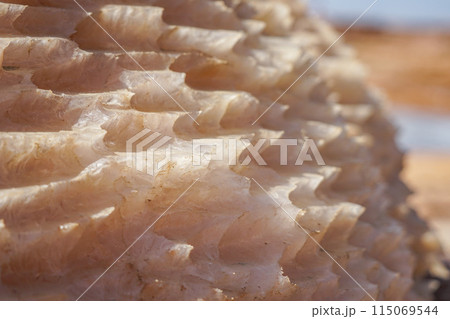 Black Water Spring 115069544