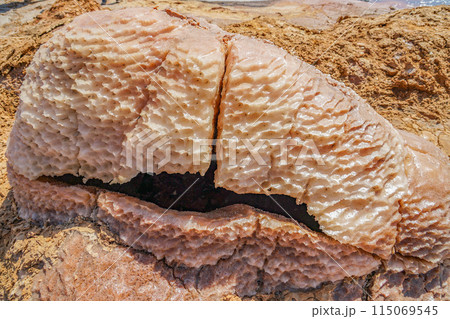 Black Water Spring 115069545