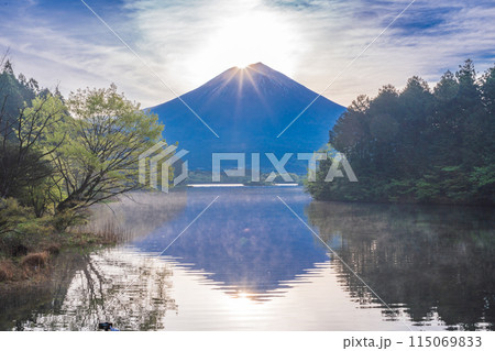 （静岡県）田貫湖のダイヤモンド富士 115069833