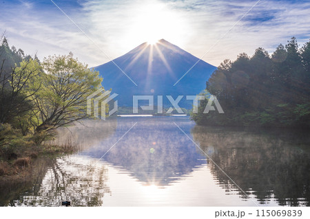 （静岡県）田貫湖のダイヤモンド富士 115069839