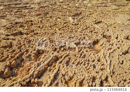 ダロル火山 115069918