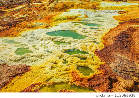 ダロル火山 ダロル火山 115069939
