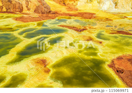 ダロル火山 ダロル火山 115069971