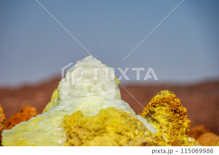 ダロル火山 ダロル火山 115069986