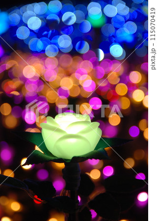 薔薇の花のイルミネーション 115070419