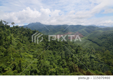the tree mountain view before from banahill cable car the tree mountain view before from banahill cable car 115070460