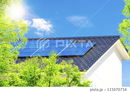 新緑とエコハウスと青空 115070738