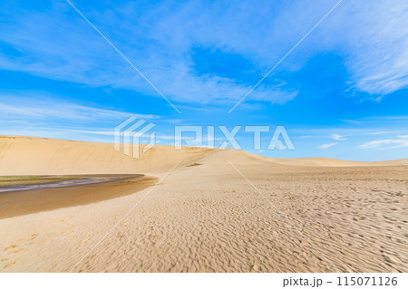 鳥取砂丘　風紋の砂丘と青い空 115071126