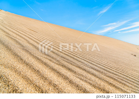 鳥取砂丘 風紋の砂丘と青い空 鳥取砂丘 風紋の砂丘と青い空 115071133