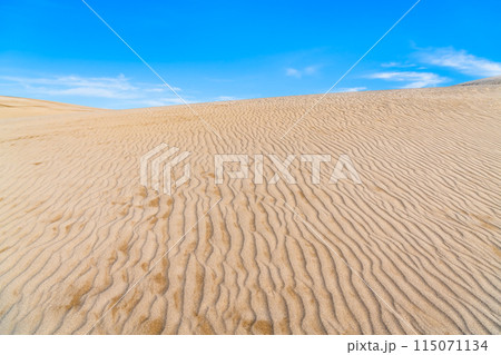 鳥取砂丘　風紋の砂丘と青い空 115071134