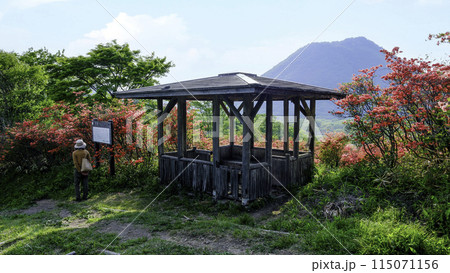 つつじ咲く東屋と榛名富士 115071156