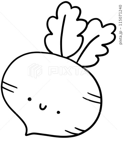 Radish outline Radish outline 115071240