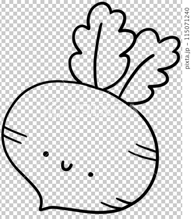 Radish outline Radish outline 115071240